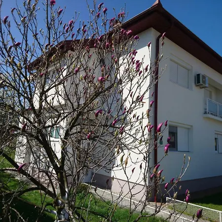 Center Apartment Bihac