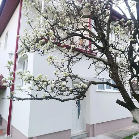 Center *